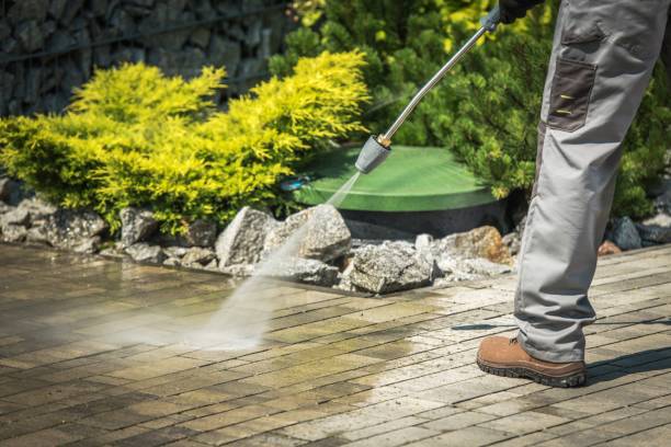 Best Sign and Awning Cleaning  in Poncha Springs, CO