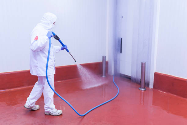 Best Dumpster Area Cleaning  in Poncha Springs, CO